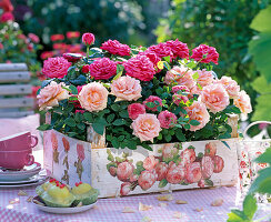 Fruit staircase with rose napkin decoration (5/5)