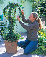 Pull ivy on trellis