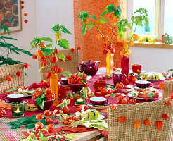 Autumn table decorations: Physalis (lanterns), berries as wreaths, Euonymus