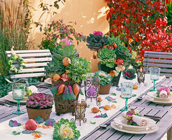 Brassica (ornamental cabbage) with Allium (bulb) as table decoration