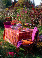 Gedeckter Tisch an Beet mit Cotinus (Perückenstrauch)