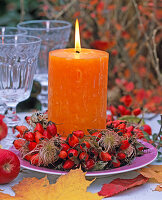 Rosehip clematis wreath