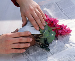 Nursing dried out cyclamen back to health