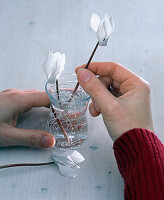 White cyclamen with silver wire as a plug-in aid (4/5)