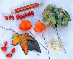 Bouquets of foliage, hydrangea, lanterns and rosehips