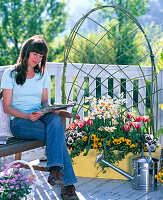 Spring box with plaited trellis help