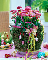 Easter basket with moss and bellis (5/5)
