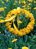 Dandelion wreath: 2/2