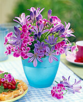 Arrangement of Agapanthus (African Ornamental Lily)