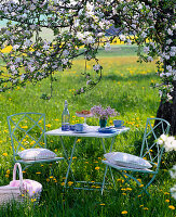 Sitting set under blossoming apple tree