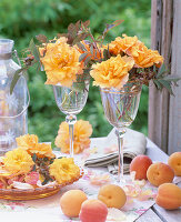 Yellow flowers, leaves and rose hips of Rosa (roses)