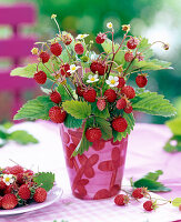 Strauß aus Fragaria (Walderdbeeren) mit Früchten, Blättern und Blüten