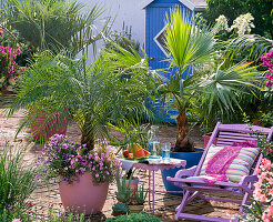 Palm terrace with wooden deck chair