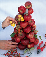 Apfelpyramide mit Hagebutten und Rosen (4/5)