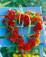 Summer, wreaths, nasturtium