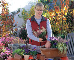 Planting a box with viola, aster and calluna (3/5)