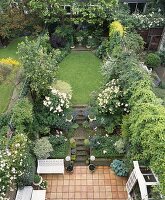 Kleiner Stadtgarten mit Terrasse und Rasen, Rosen, Hostas in Töpfen und Catalpa im Hintergrund