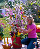 Young woman decorating Prunus Kurilensis 'Ruby' (Pink Kurile Cherry)