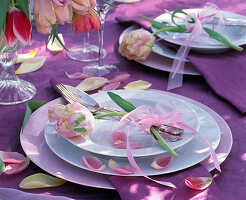 Tulipa (tulip) and cutlery on soup plate