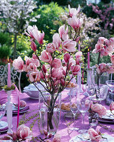 Magnolia (magnolia) branch and Salix (willow) in glass vase