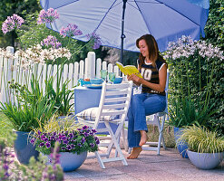 Blue and white terrace: Agapanthus (African Jewel Lilies)