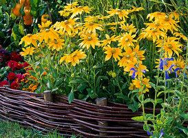 Bed with willow wicker edging