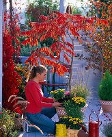 Planting under a vinegar tree (1/2)