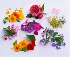 Tableau with edible flowers, Calendula (Marigold), Rosa (Rose)