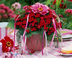 Positiv-negativ-Beispiel: Strauß aus Dianthus (Bartnelken), Zinnia