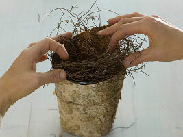 Pot wrapped in birch bark