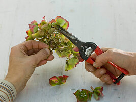 Candle decoration with hydrangeas