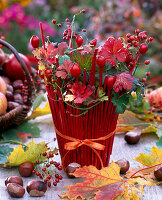 Planter with red bars