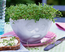 Cress in pot with face (3/3)