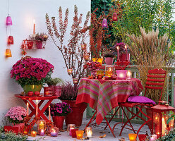 Roter Herbstbalkon mit Chrysanthemum (Herbstchrysanthemen)