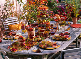 Blätter - Apfel - Tischdeko : Tischläufer mit Herbstlaub und Malus (Äpfeln)