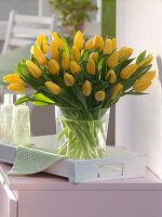 Tulipa (tulips) in glass vase on wooden tray