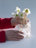 Christmas roses in a bag (2/3)