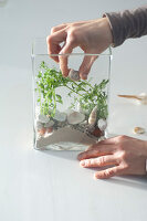 Mini aquarium as maritime decoration (5/7)