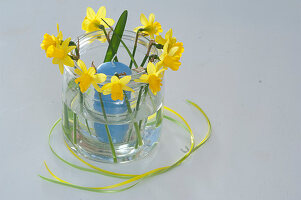 Daffodil lantern 4/5