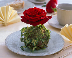 Moss ball with rose