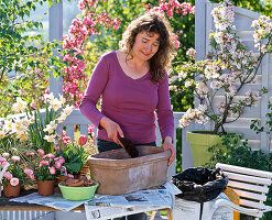 Planting clay jardiniere (1/4)