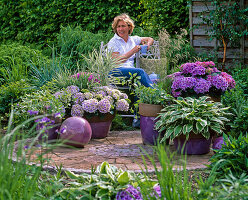 Shaded terrace with Hydrangea and Hosta (funkie)