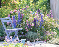 Rosa 'Mary Rose' (Englische Rose), Delphinium Magic Fountain