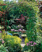 View through rose arch with Clematis (Clematis) to seating area