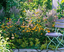 Blue-yellow perennial border with Trollius europaeus (troll flowers), Veronicastrum