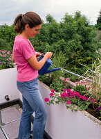 Planting a roof terrace (4/6)