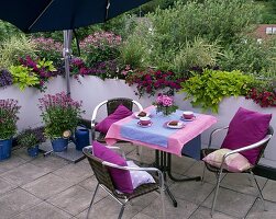 Plant roof terrace