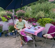 Planting a roof terrace (6/6)