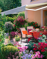 Terrasse mit Kübelpflanzen, Markise als Sonnenschutz