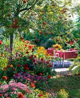 Sommerblumenbeet mit Dahlia (Dahlien), Zinnia (Zinnien)